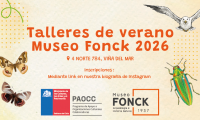 En enero el Museo Fonck te invita a participar de sus talleres de verano
