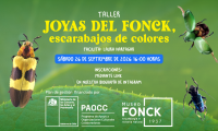 Taller gratuito y presencial “Joyas del Fonck: escarabajos de colores”