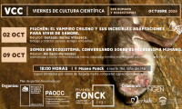 El piuchén y el microbioma humano protagonizarán los Viernes de Cultura Científica del Museo Fonck en octubre