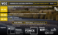 Los Viernes de Cultura Científica del Museo Fonck en julio invitan a descubrir la biodiversidad y sus conexiones más allá de lo aparente