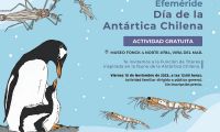 Celebra junto a Museo Fonck el Día de la Antártica Chilena