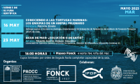Viernes de Cultura Científica de Museo Fonck en el “mes del mar” Viernes de Cultura Científica de Museo Fonck en el “mes del mar”