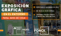Museo Fonck te invita a una nueva exposición gráfica en el entorno sobre “Aves de Chile”