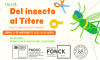El Museo Fonck te invita a participar del taller “Del insecto al Títere”