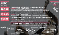 Los VCC de Museo Fonck en agosto y septiembre se centrarán en las aves Los VCC de Museo Fonck en agosto y septiembre se centrarán en las aves
